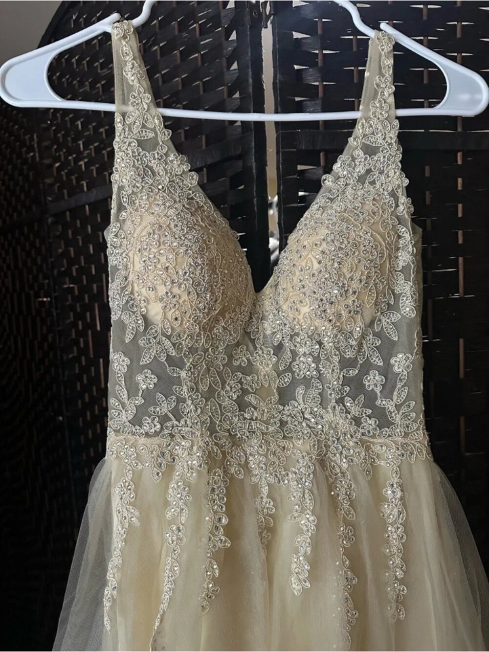 Ivory Lace Bodice Evening Gown
